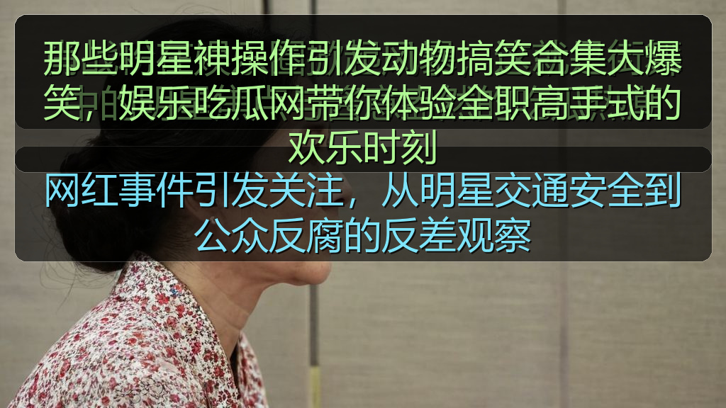 那些明星神操作引发动物搞笑合集大爆笑，娱乐吃瓜网带你体验全职高手式的欢乐时刻